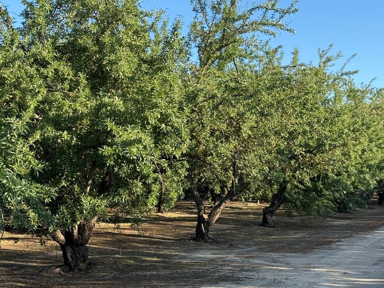 2700 North Ave ave, Modesto, CA for sale - Other - Image 2 of 10