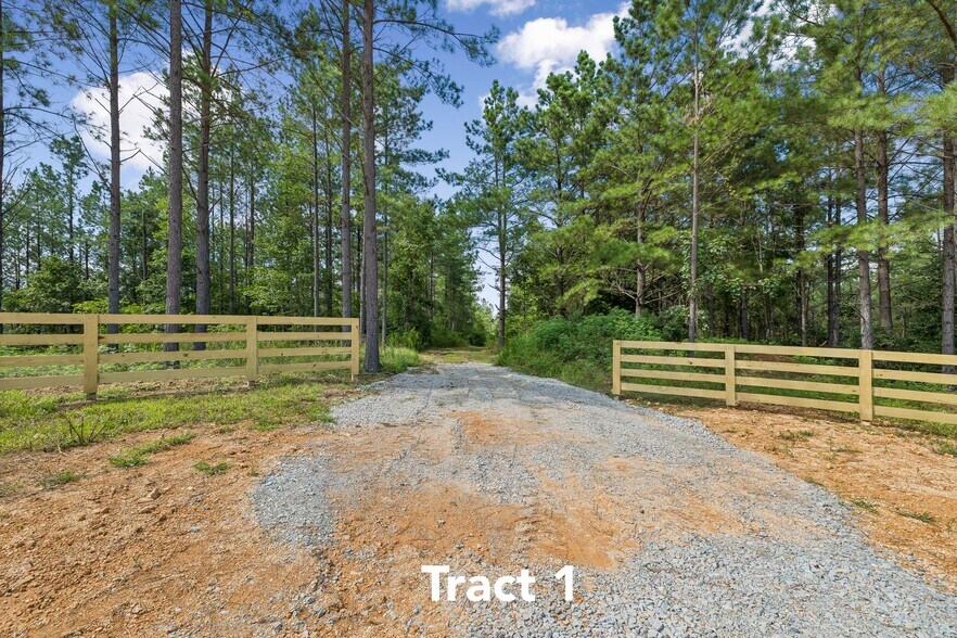 1420 Big Swan Creek Rd, Summertown, TN à vendre - Photo principale - Image 1 de 17