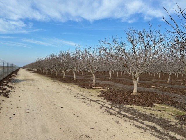 Bassett Ave, Delano, CA à vendre - Photo du bâtiment - Image 2 de 6