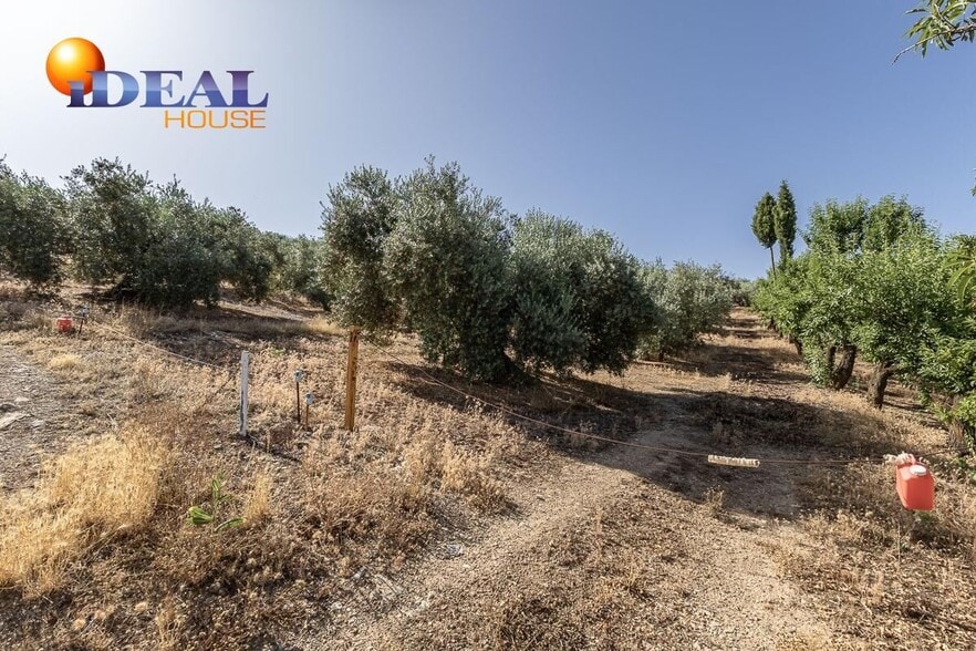 Poligono, 51-51, Montefrío, Granada for sale - Building Photo - Image 2 of 39
