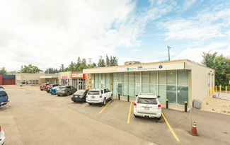 More details for 4304 118 Ave NW, Edmonton, AB - Retail for Lease