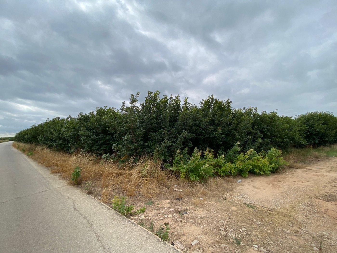 Albalat, Carlet, Alrededores, Carlet, Valencia for sale Primary Photo- Image 1 of 8