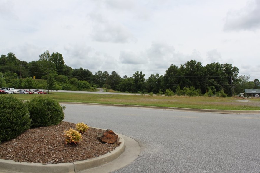 00 Progress Circle and Hwy 5, Blue Ridge, GA à vendre - Photo principale - Image 1 de 1