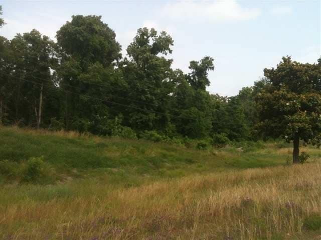 Hedges Highway 61 S, Natchez, MS for sale - Primary Photo - Image 1 of 4