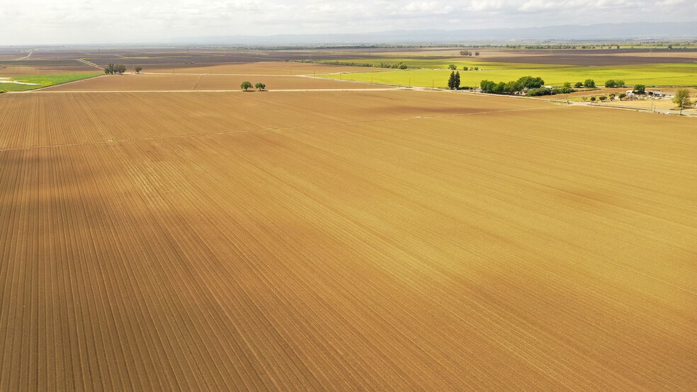 Wescott Rd., Colusa, CA for sale - Aerial - Image 2 of 5
