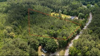 Plus de détails pour 167 Deneaux Rd, Branchville, SC - Terrain à vendre