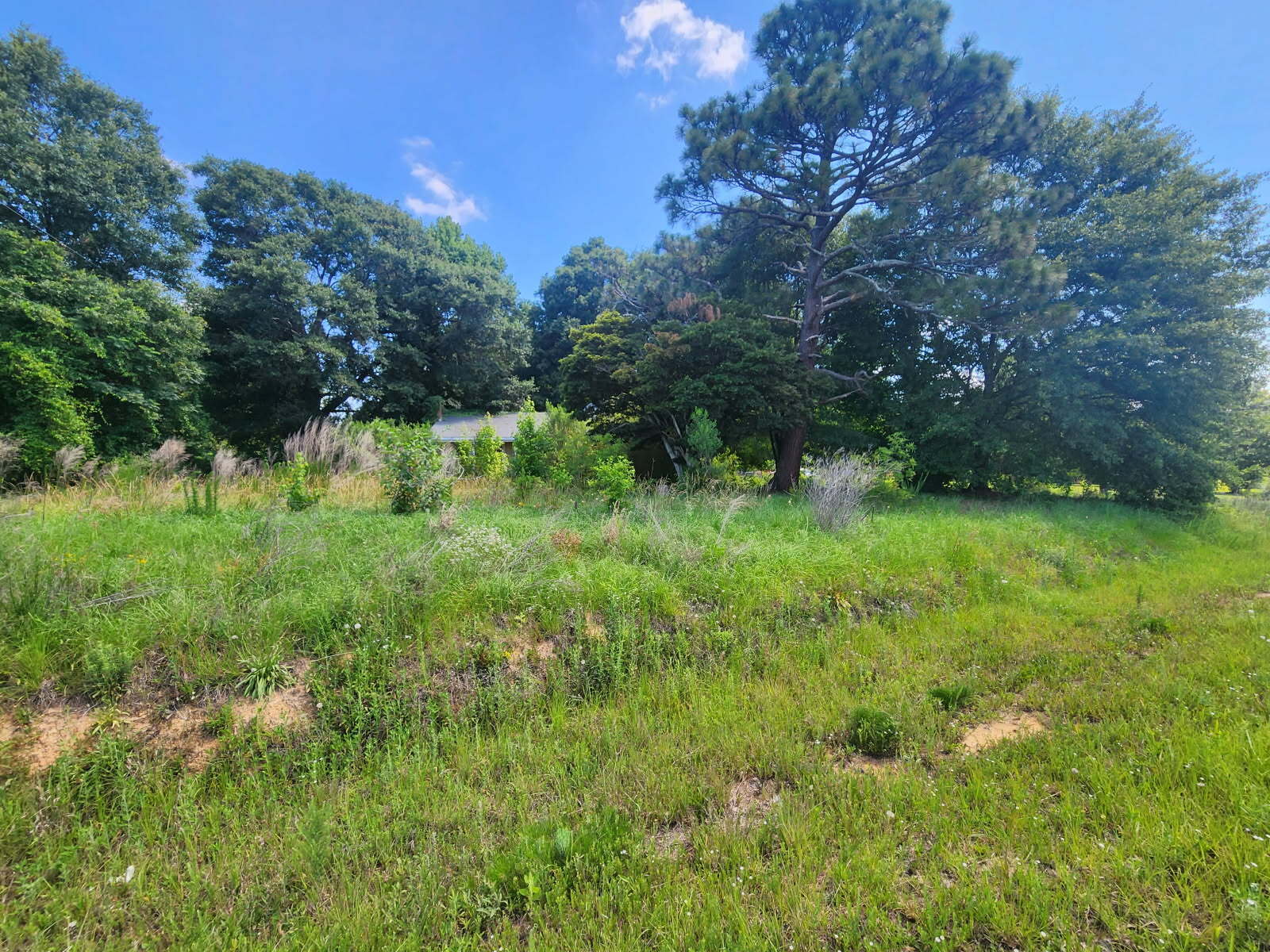 1950 Holbrook Rd, Fort Mill, SC for sale Other- Image 1 of 14