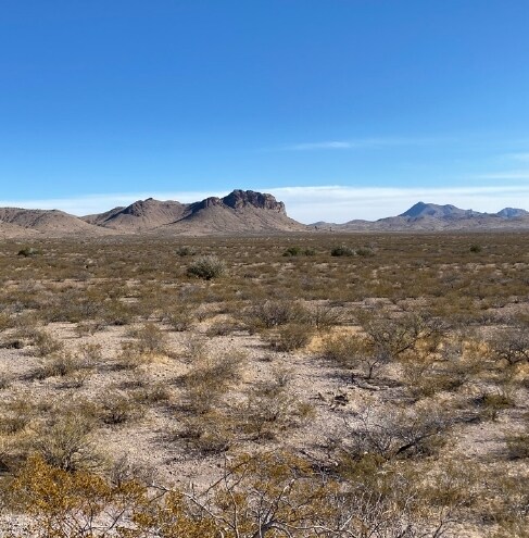 I-10, San Simon, AZ à vendre - Autre - Image 3 de 6