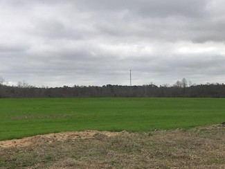 Plus de détails pour I-16 & Hwy 96, Jeffersonville, GA - Terrain à vendre