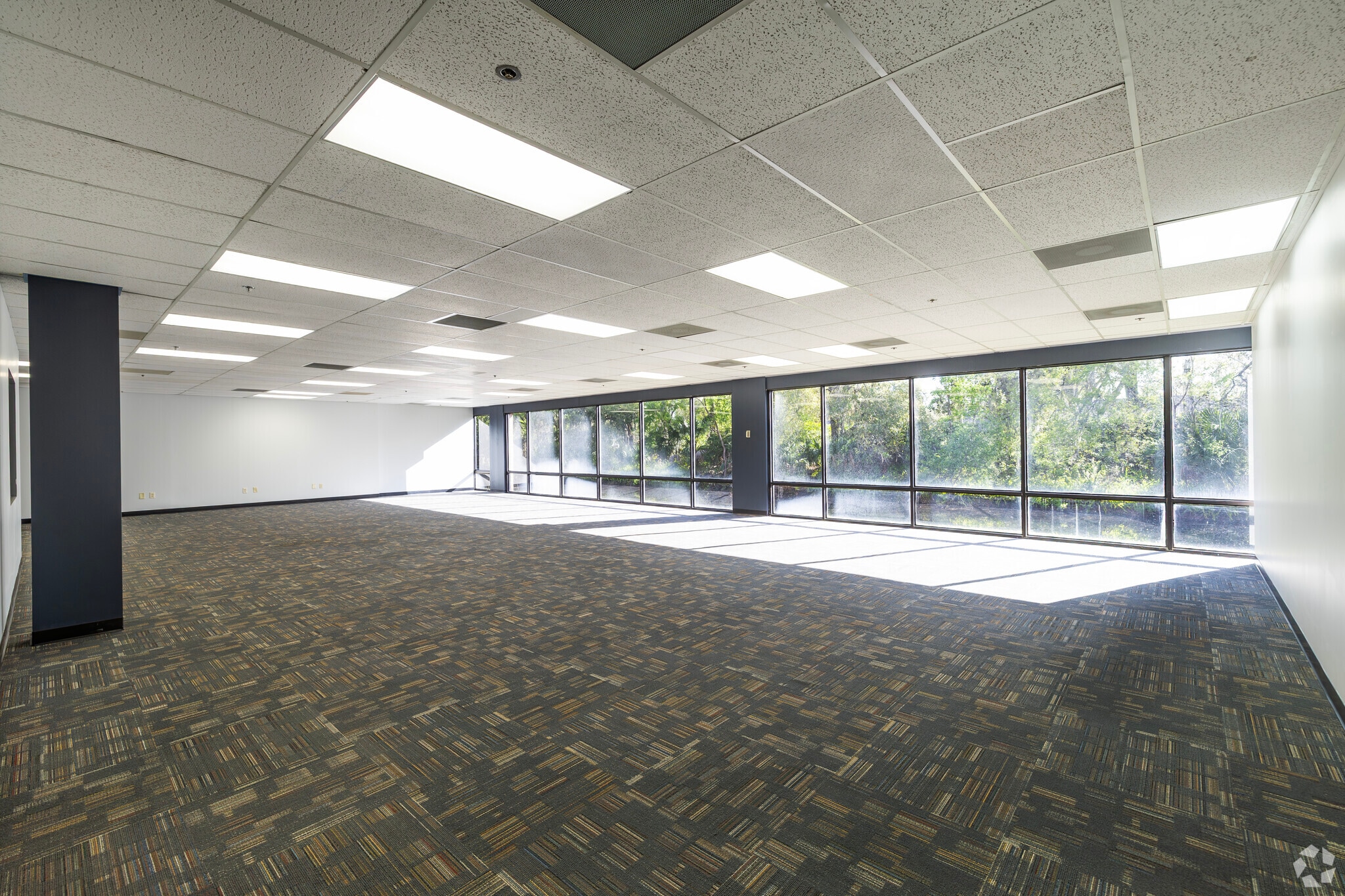 14497 N Dale Mabry Hwy, Tampa, FL à louer Photo intérieure- Image 1 de 3