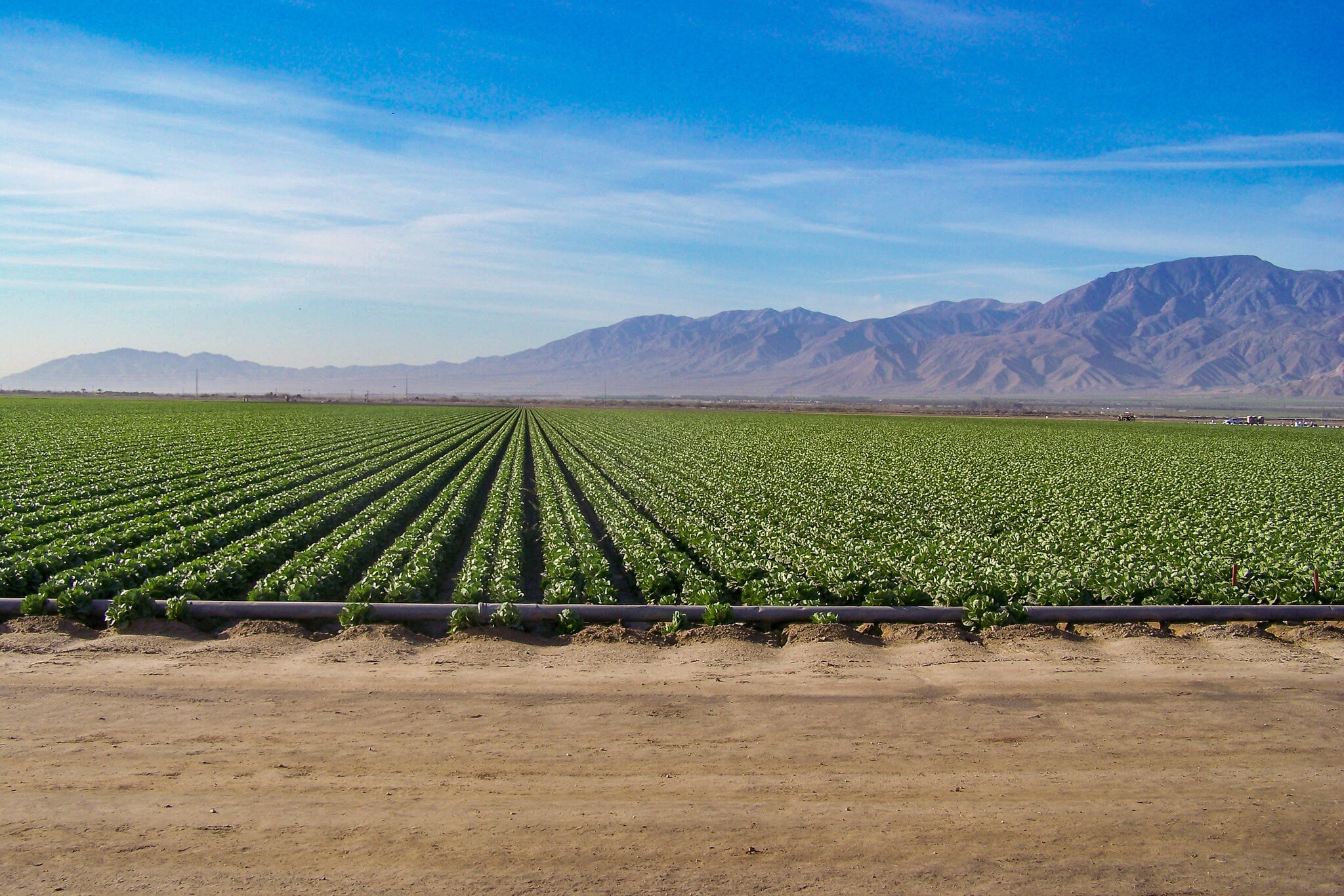 59059 Jackson st, Thermal, CA for lease Aerial- Image 1 of 3