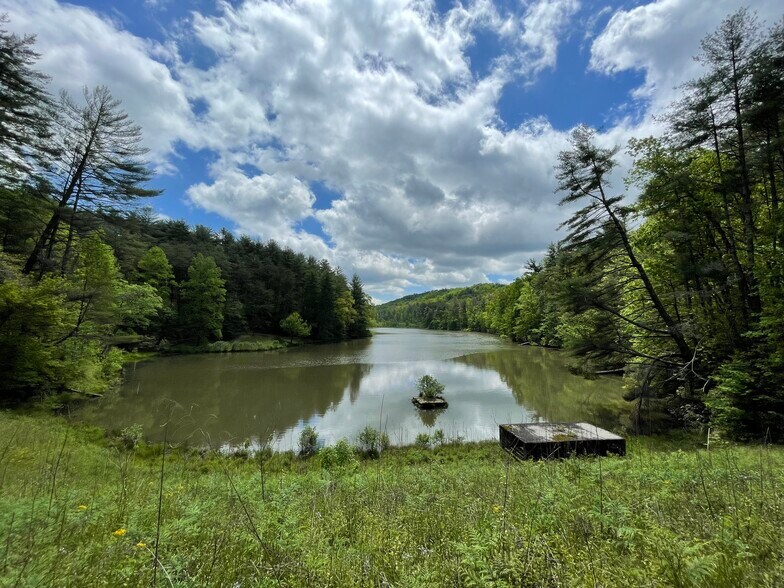 0 Oak Forest Drive, Clarkesville, GA for sale - Primary Photo - Image 1 of 13