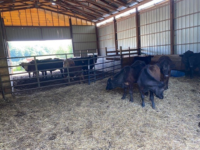 5995 Highway 140 NW, Adairsville, GA for sale - Building Photo - Image 2 of 3