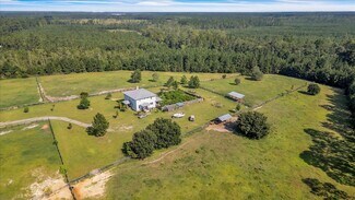 Plus de détails pour 1075 Osteen Rd, Bloomingdale, GA - Terrain à vendre