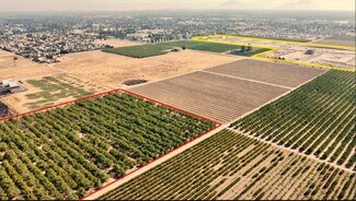Plus de détails pour 3350 S Indianola Ave, Sanger, CA - Terrain à vendre