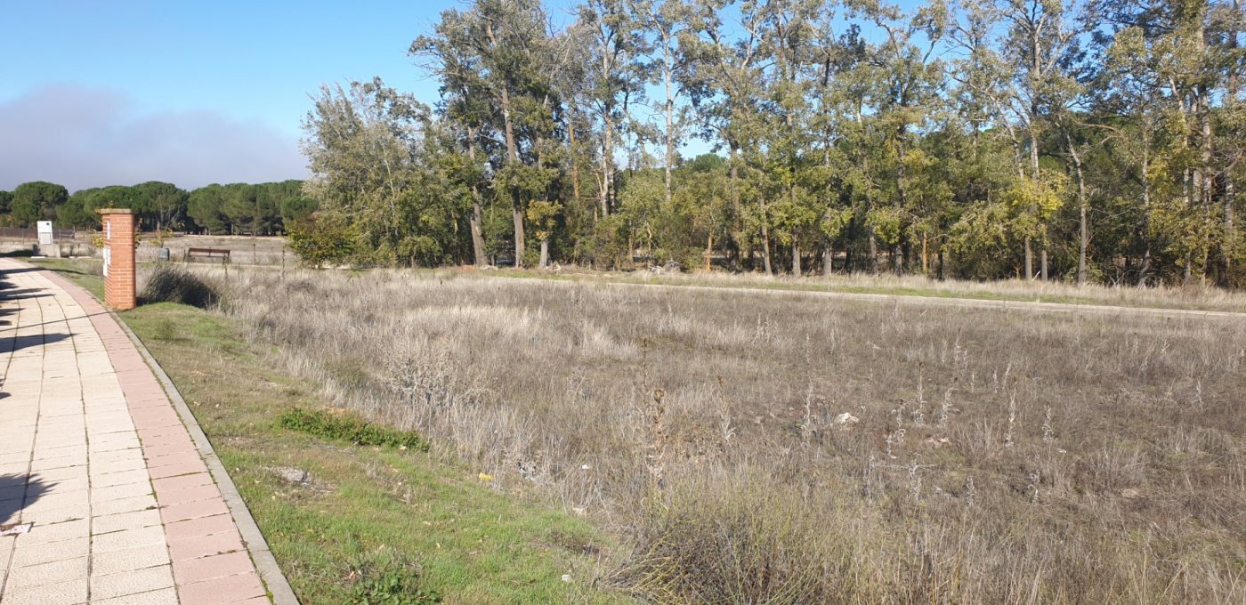 el, Sn, Aldeamayor de San Martín, Valladolid for sale Primary Photo- Image 1 of 26