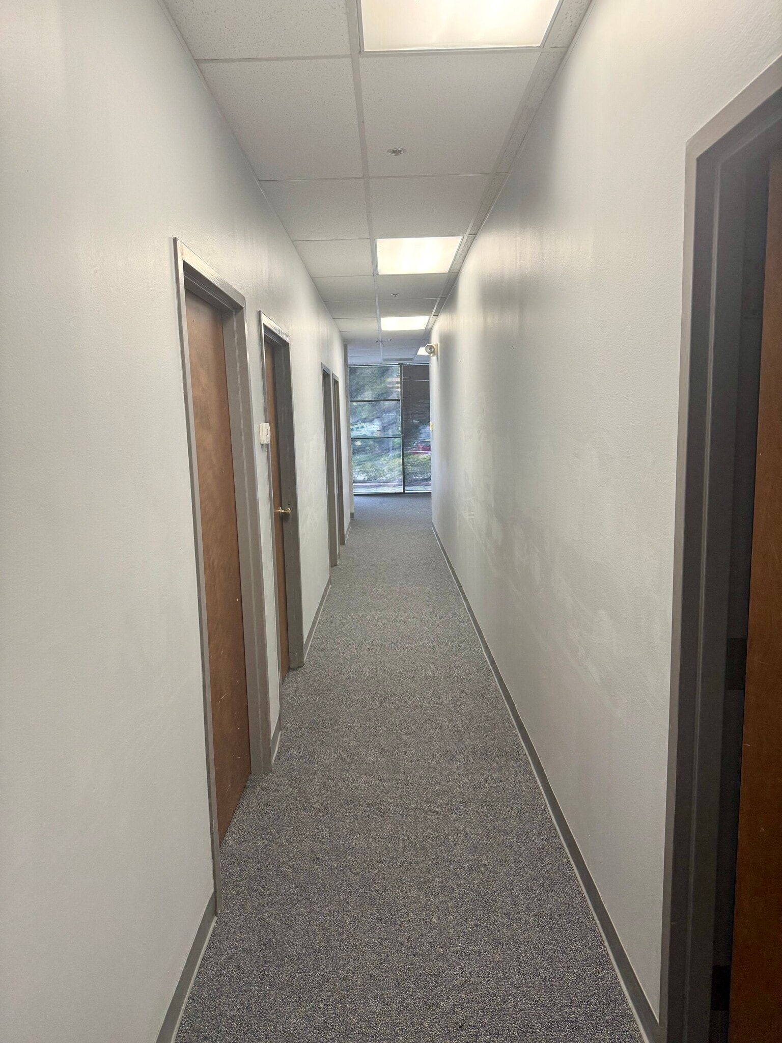 5910 Breckenridge Pky, Tampa, FL for lease Interior Photo- Image 1 of 13