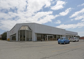 Plus de détails pour 1117 Finch Ave, Toronto, ON - Industriel à louer