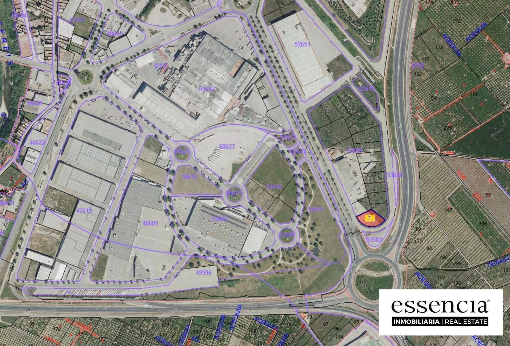 Partida Sancho Llop, 48, Gandia, Valencia for sale Primary Photo- Image 1 of 13