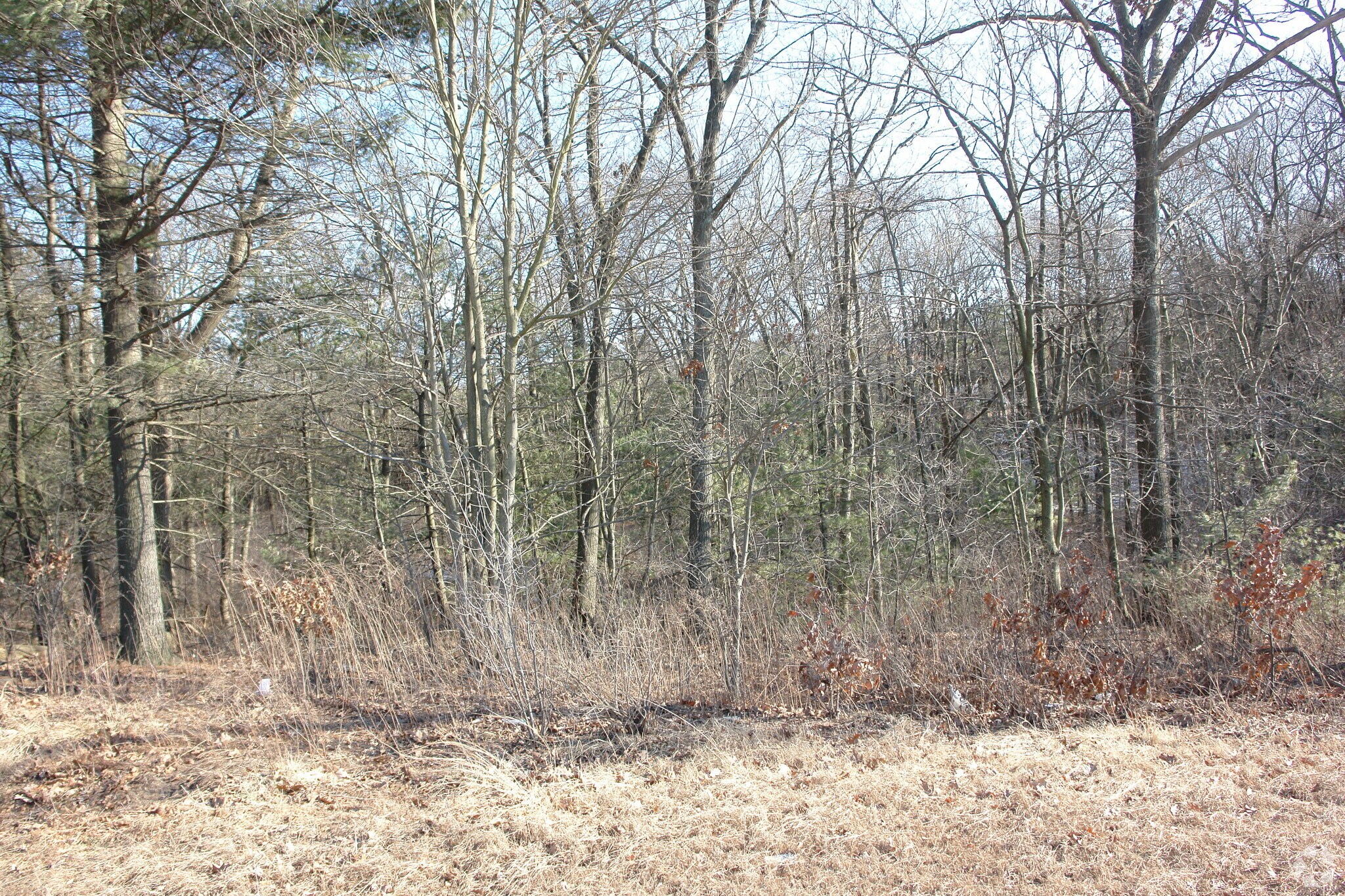 334 Providence Hwy, Sharon, MA à vendre Photo principale- Image 1 de 10