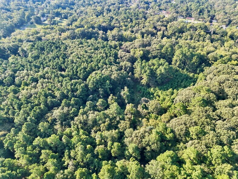 1015 Bassett Rd, Palestine, TX for sale - Aerial - Image 3 of 6