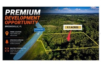 Plus de détails pour 26234 Cortez Blvd, Brooksville, FL - Terrain à vendre