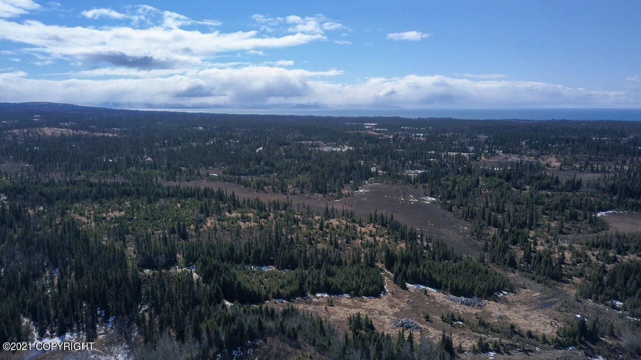 37295 Sterling Hwy, Homer, AK à vendre Photo principale- Image 1 de 1