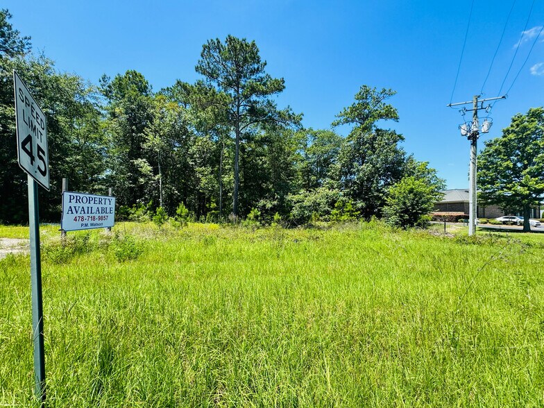 South Highway 441, Dublin, GA à vendre - Autre - Image 2 de 6