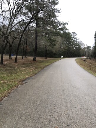 Plus de détails pour 19190 Todd Rd, Magnolia, TX - Terrain à vendre