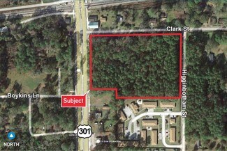 Plus de détails pour 301 Clark St, Baldwin, FL - Terrain à vendre