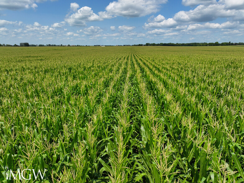 Illinois 64, Clare, IL for sale - Building Photo - Image 3 of 8