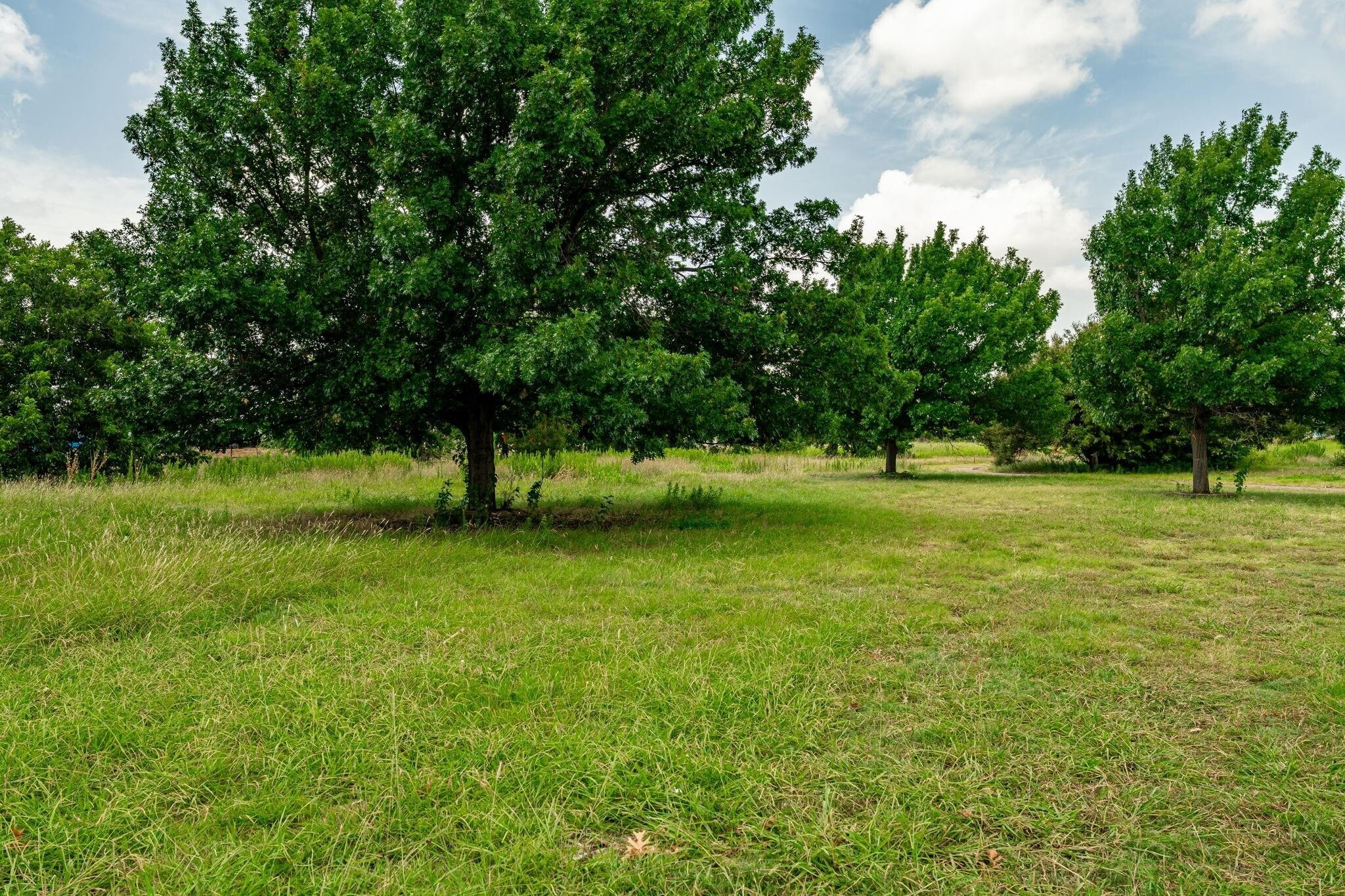 959 N Coleman St, Prosper, TX for sale Primary Photo- Image 1 of 33