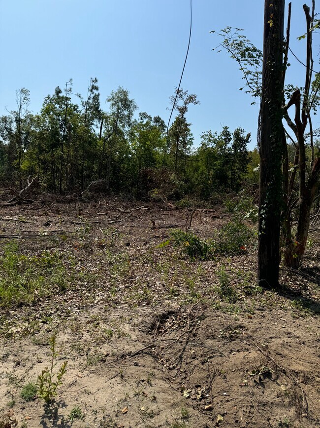 More details for 4029 Dauphin Island Pkwy, Mobile, AL - Land for Lease