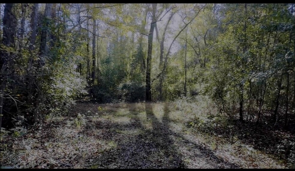 3382 Silver Bluff Rd, Aiken, SC for sale - Building Photo - Image 3 of 7