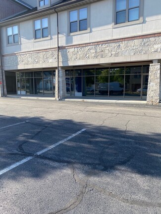 More details for 17-19 E Irving Park Rd, Roselle, IL - Office for Lease