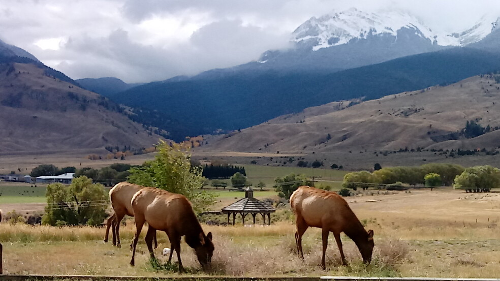 4 Maiden Basin Dr, Gardiner, MT for sale - Building Photo - Image 1 of 14