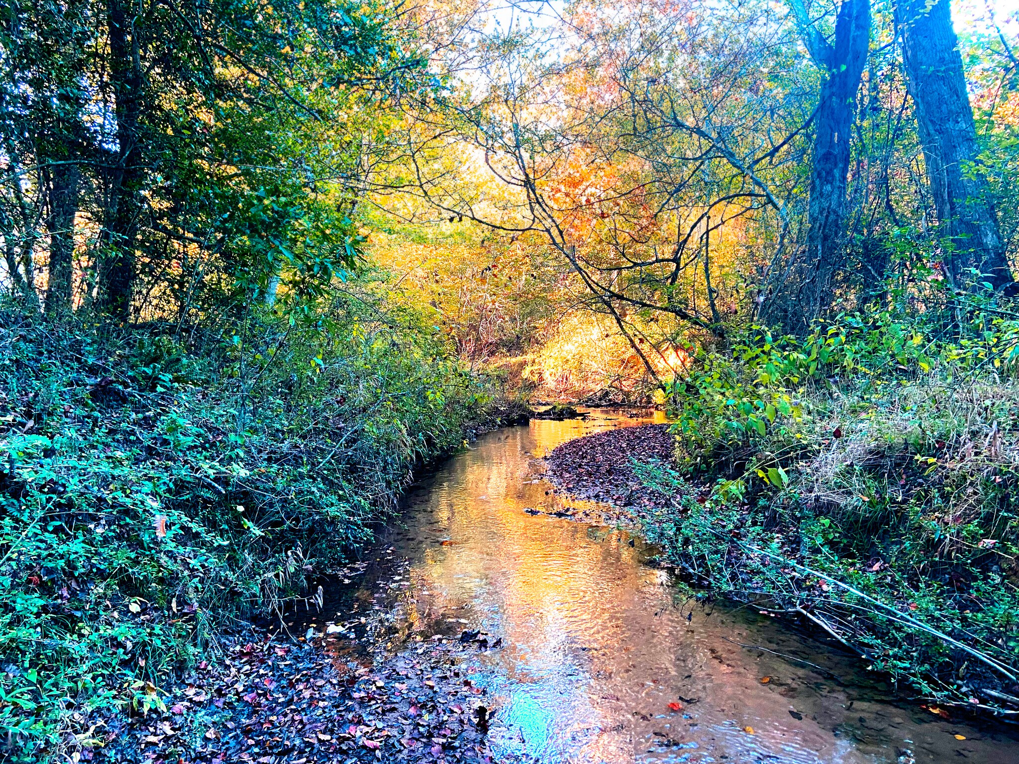 000 Craigo Rd, Fountain Inn, SC à vendre Photo du bâtiment- Image 1 de 11