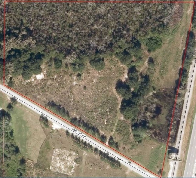 21201 Morgan Rd, Land O Lakes, FL for sale - Building Photo - Image 2 of 4