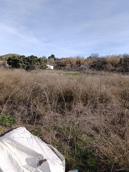 Land in Cehegín, Murcia for sale - Site Plan - Image 3 of 8