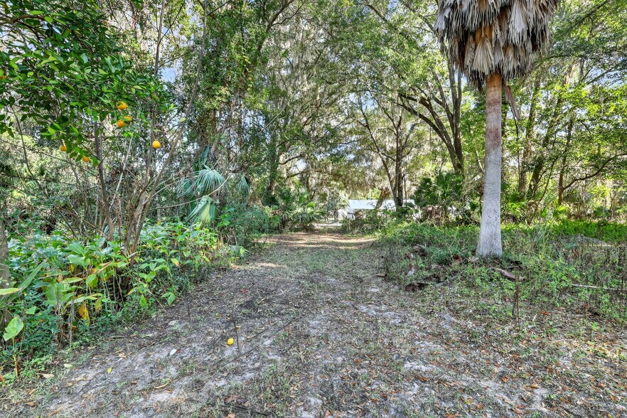 21121 Highway 441 N, Micanopy, FL à vendre - Photo du bâtiment - Image 3 de 17