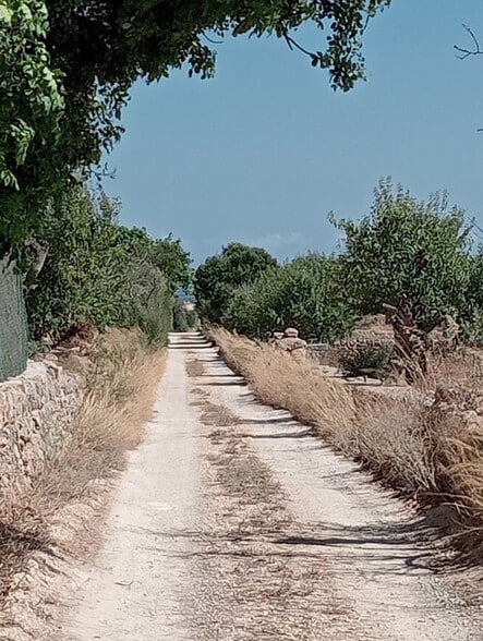 Land in Santanyí, Islas Baleares for sale - Building Photo - Image 2 of 15