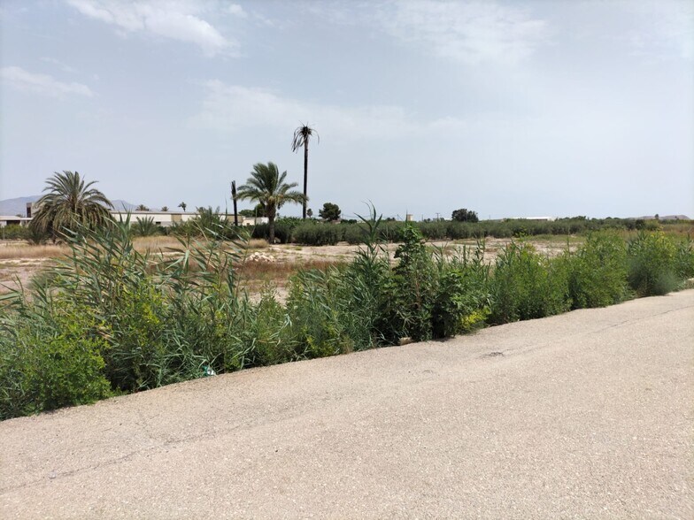 Terrain dans Cox, Alicante à vendre - Photo du bâtiment - Image 3 de 3