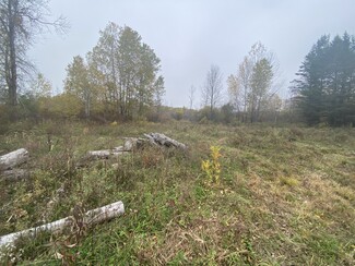 Plus de détails pour Caughdenoy Rd, Clay, NY - Terrain à vendre