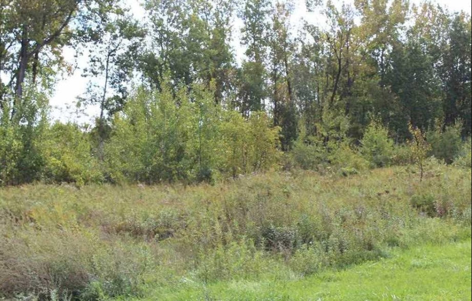 0 N Comrie Ave, Johnstown, NY for sale - Building Photo - Image 2 of 9