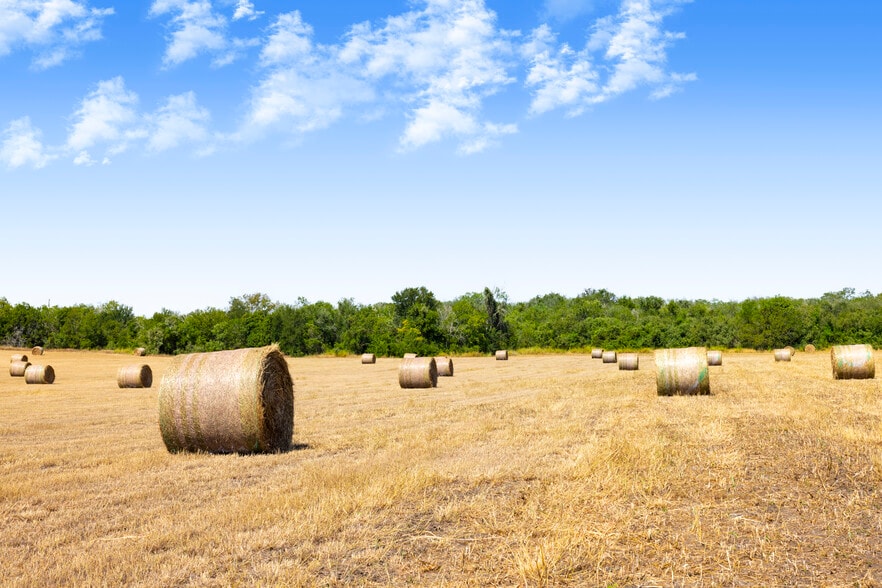 Tor Drive, Seguin, TX à vendre - Photo du bâtiment - Image 2 de 24