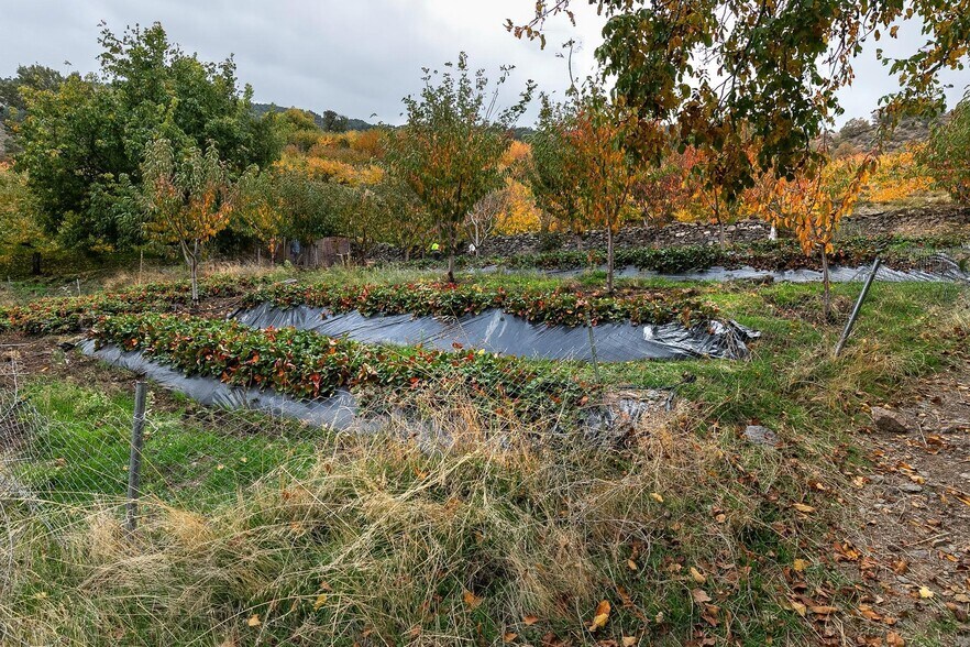 Land in Güéjar Sierra, Granada for sale - Building Photo - Image 3 of 25