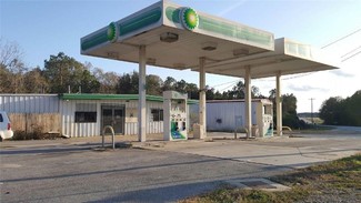 Plus de détails pour 12626 Us Highway 221, Soperton, GA - Vente au détail à vendre