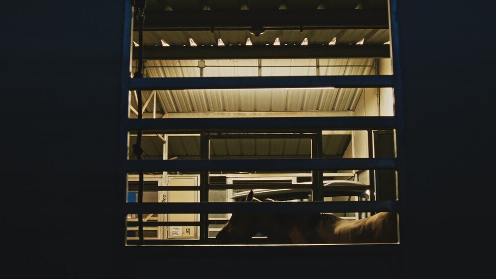 9525 E Graf Ln, Tucson, AZ à vendre - Vidéo sur l’inscription commerciale - Image 2 de 24