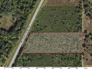 Plus de détails pour 7699 County Rd, Arcadia, FL - Terrain à vendre