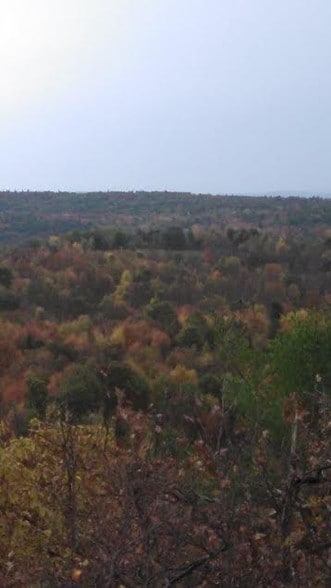 County Road 27 / cross St. Greeley Road, Taghkanic, NY for sale - Other - Image 3 of 17